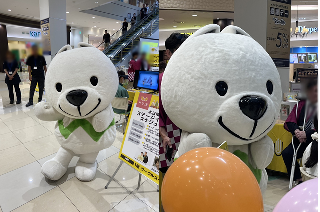 和歌山県のPRキャラクター「きいちゃん」