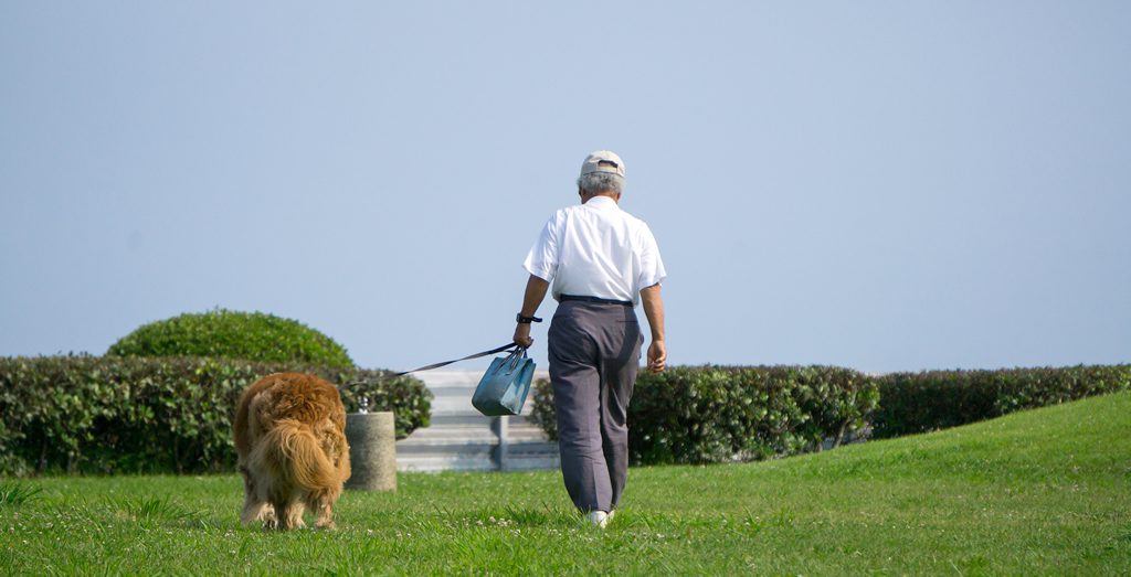 ITSUMOを着けて犬のお散歩
